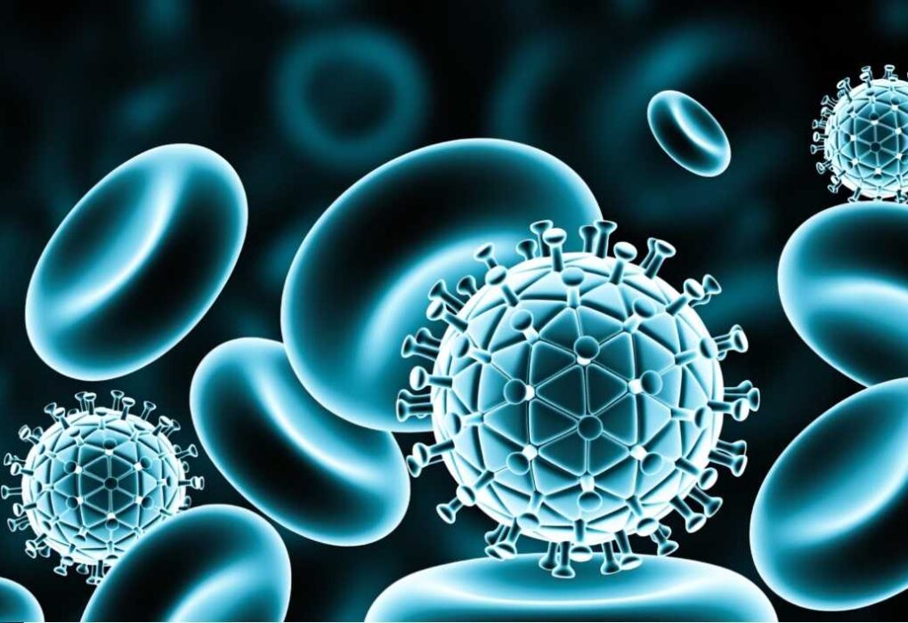 Sistema inmunologico defendiendo cuerpo de una infeccion viral